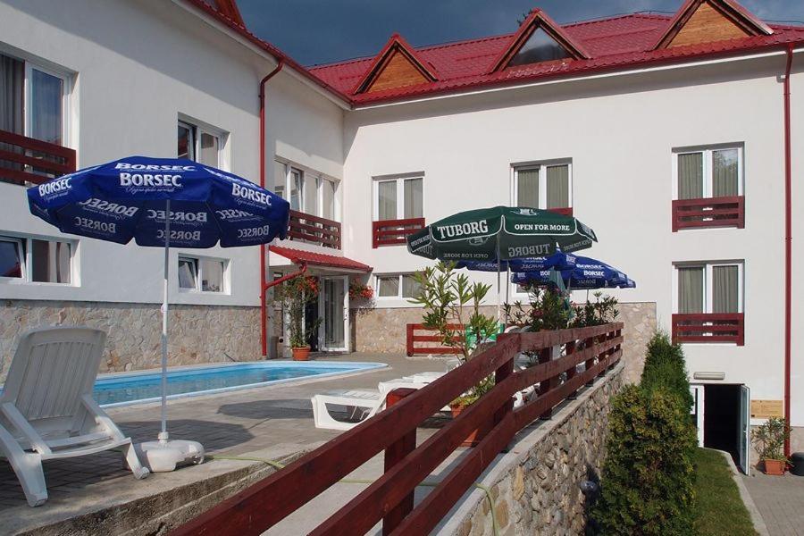 多尼特酒店 Călimăneşti 外观 照片